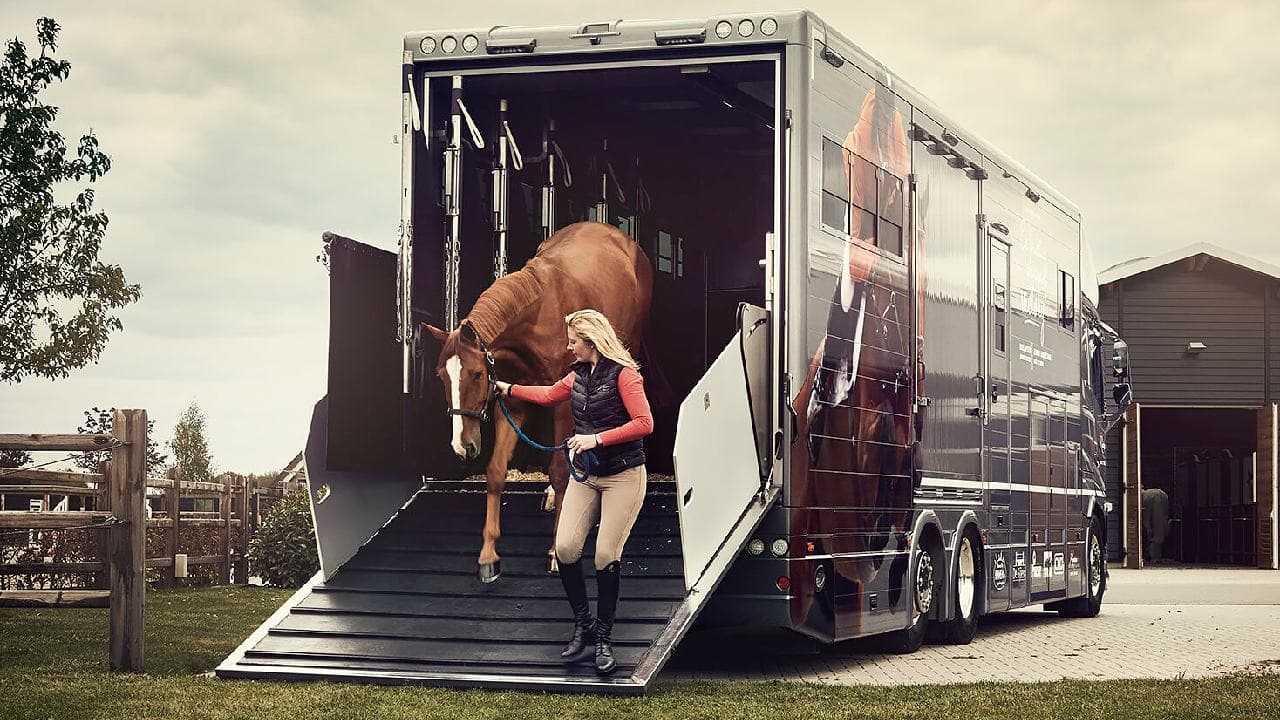 Erenköy Evcil Hayvan Taşıma Hizmeti Görseli